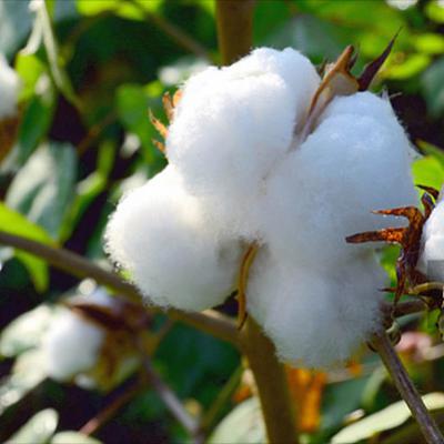 News Fourteen: weolcome to our website